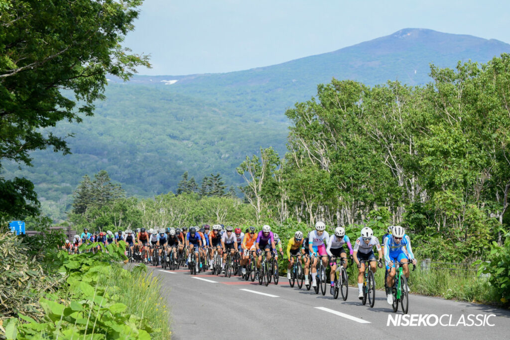 A large group of cyclists competing in the Niseko Classic, racing through luscious forest in Niseko.