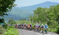 A large group of cyclists competing in the Niseko Classic, racing through luscious forest in Niseko.