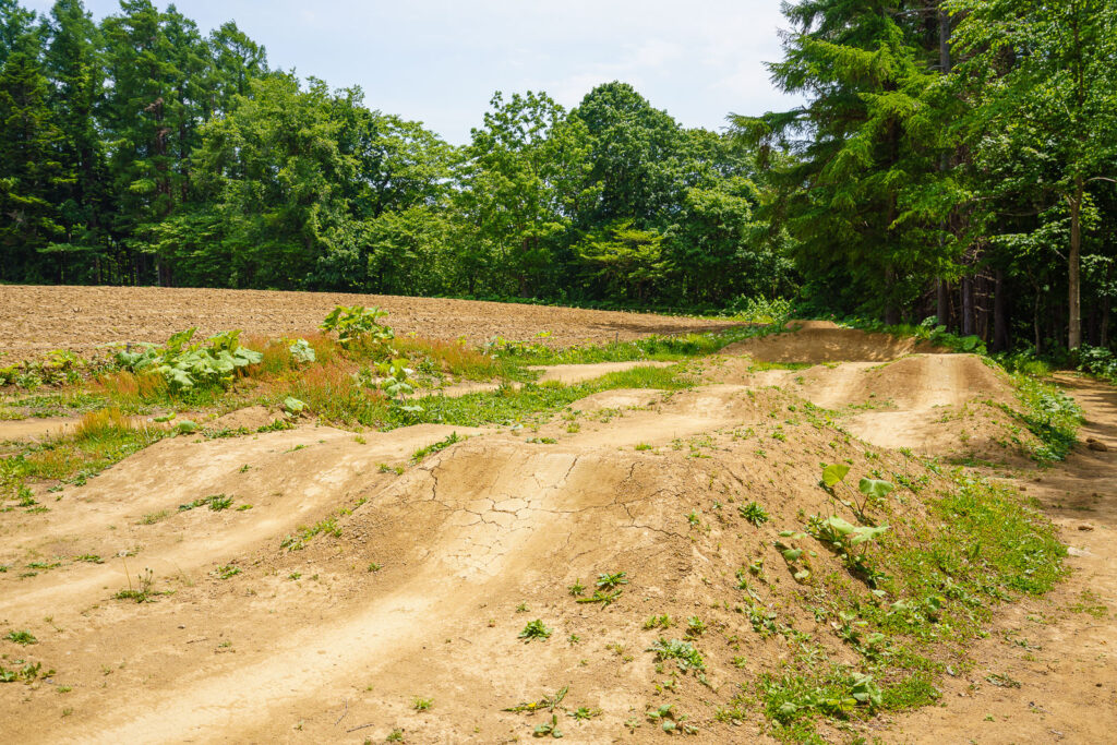 A mountain bike skills park featuring a series of jumps progressing in difficulty.