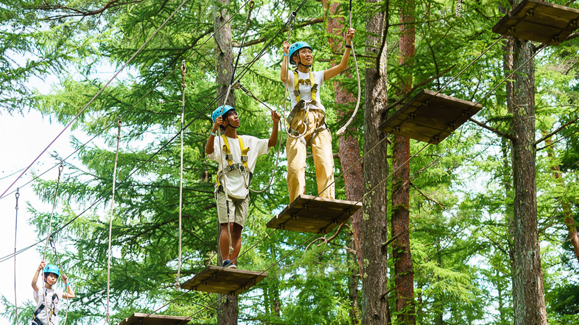 Summer-Japan-Tree-Trekking